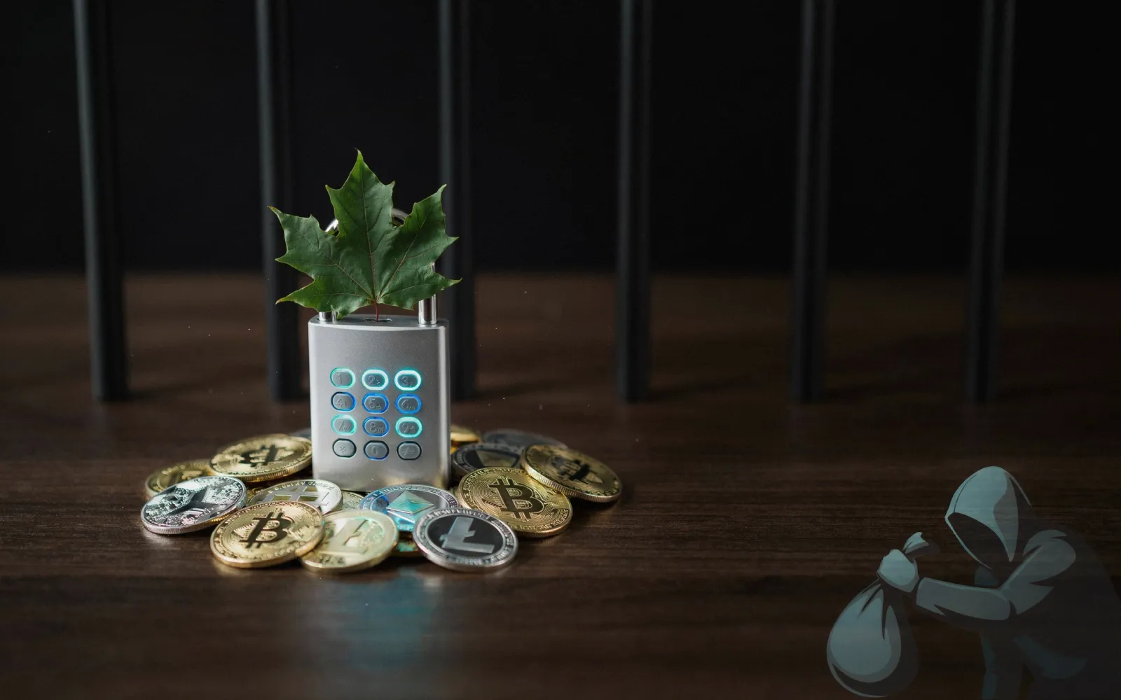 Canadian Teen Pleads Guilty to $13 Million Crypto Theft, Faces 4-Year Prison Term
